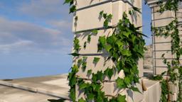 Procedural Vines thumbnail 16