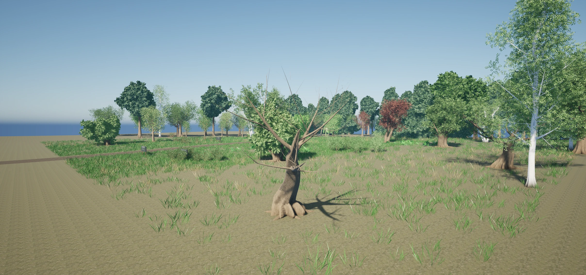 Unreal viewport showing a bare sculptural oak and its branching structure