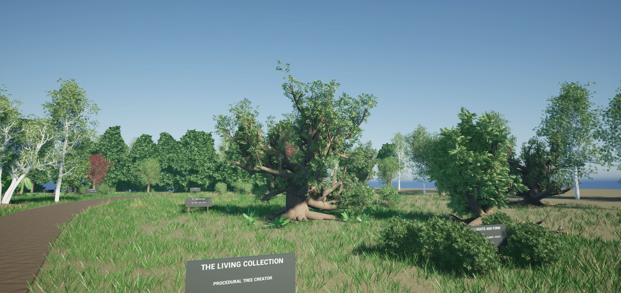Unreal viewport showing the Living Collection's gravel path, birch, oak, orchard and meadow planting