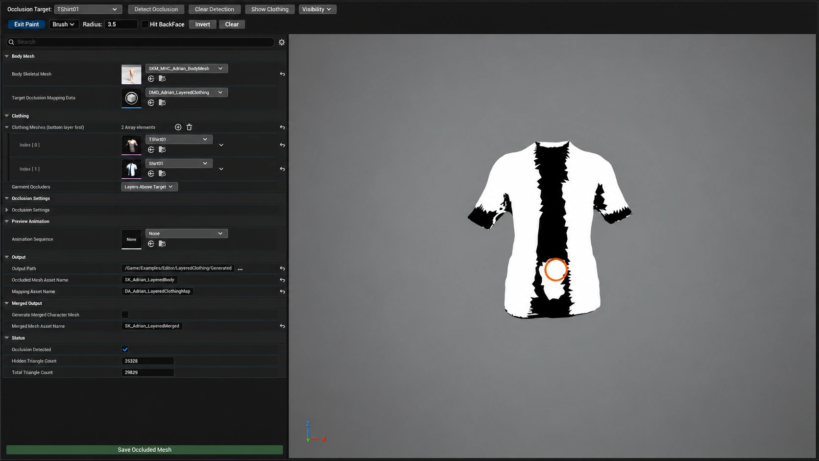 Detection & Paint Corrections