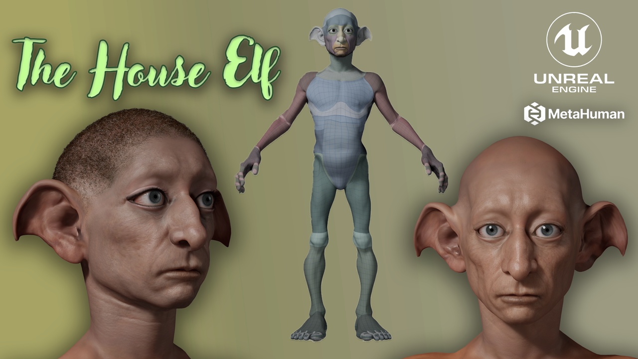 The House Elf