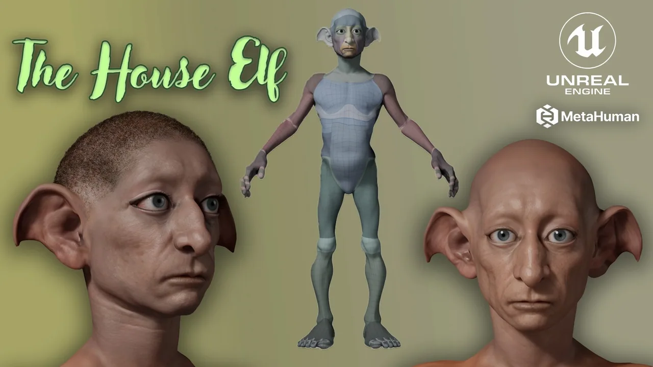 The House Elf