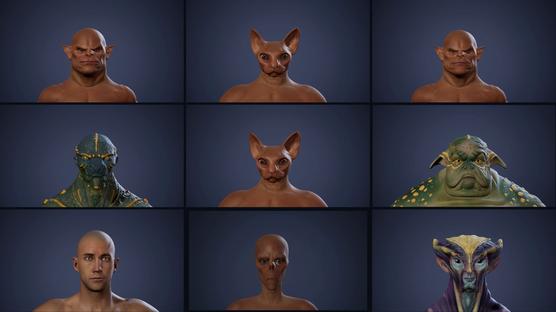 Morph Builder