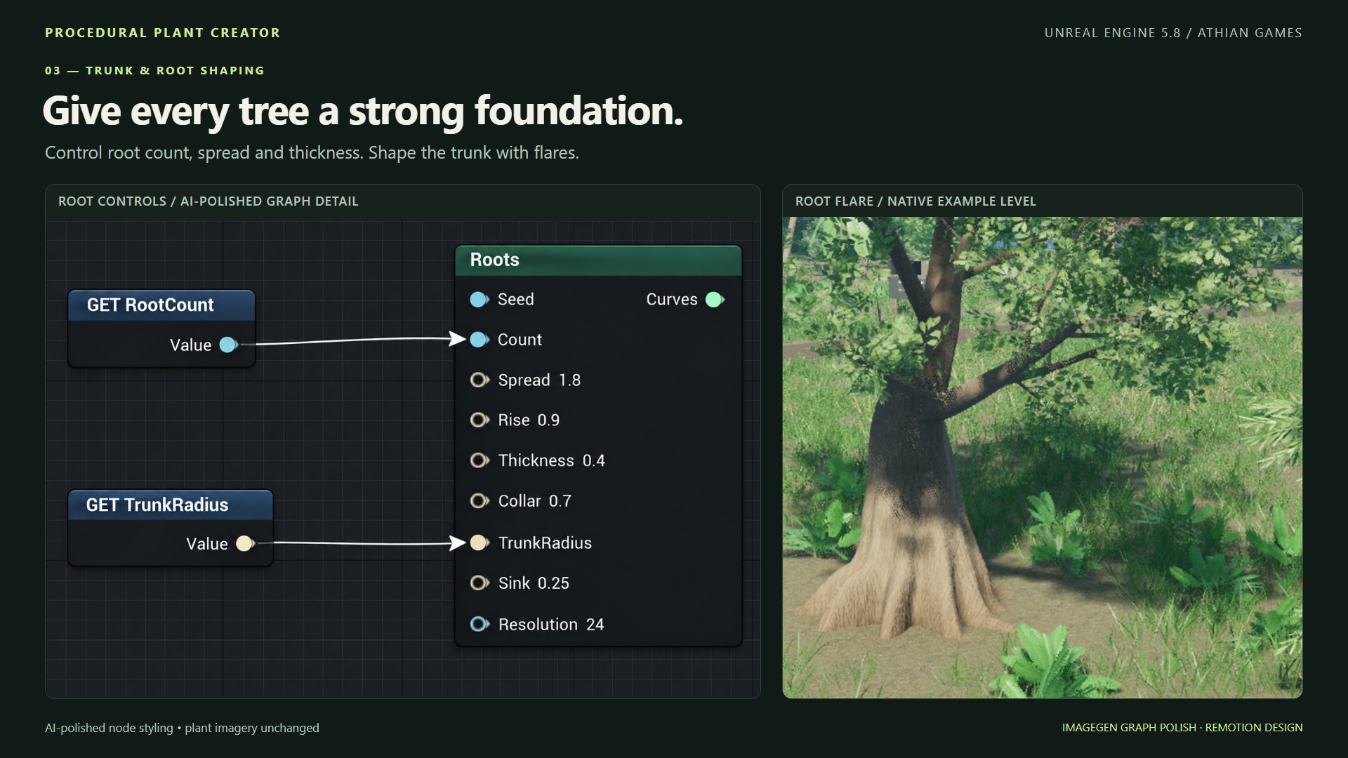 Trunk and Root Shaping