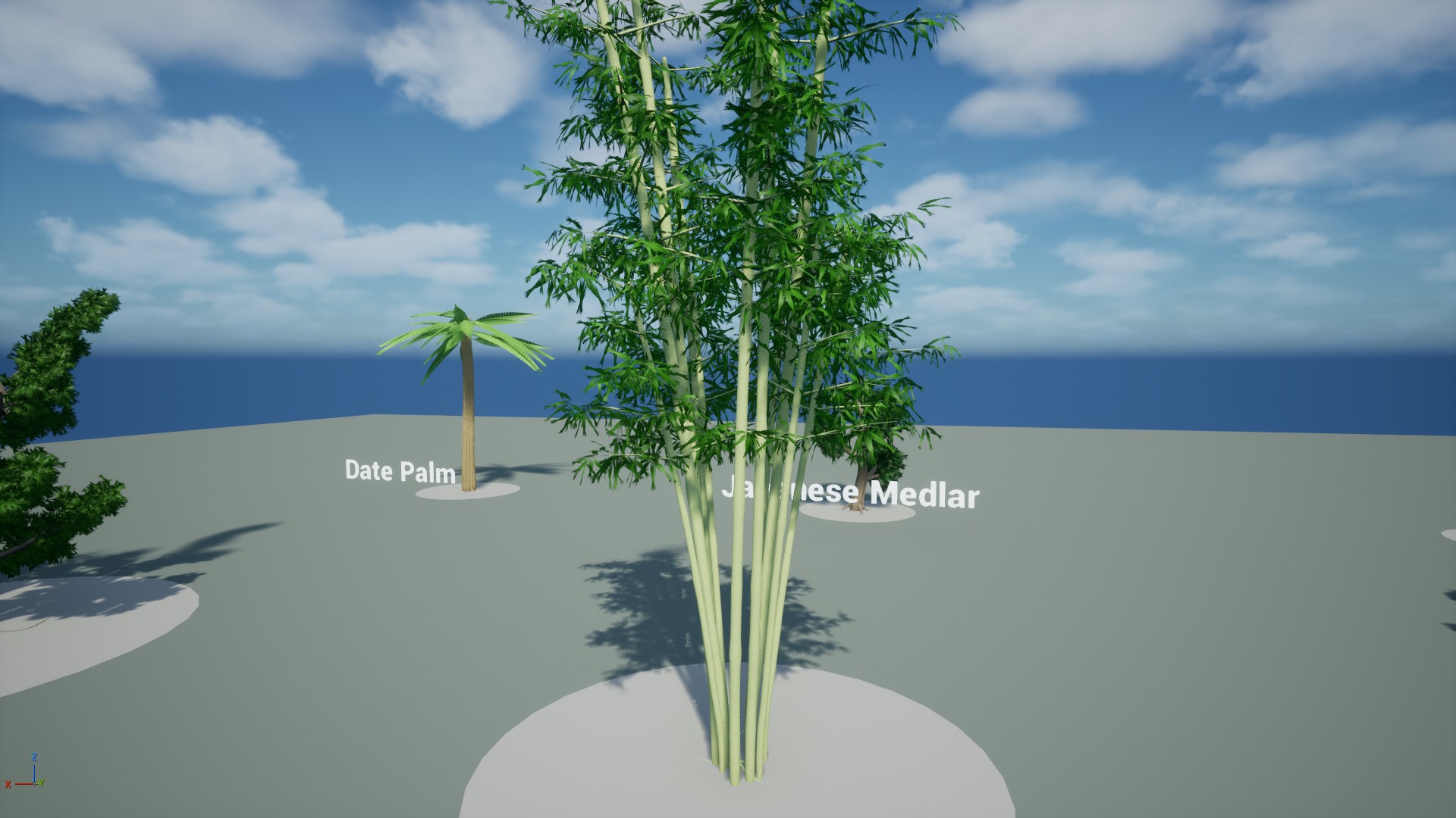 Palms, Bamboo, and Ornamentals