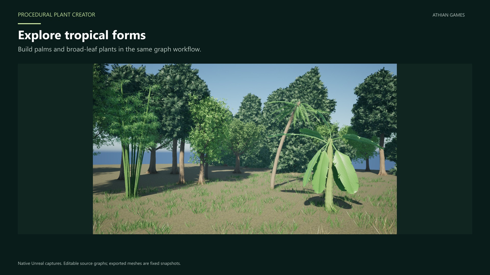 palms