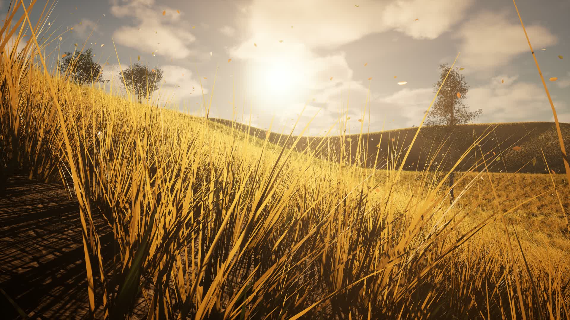 grass native