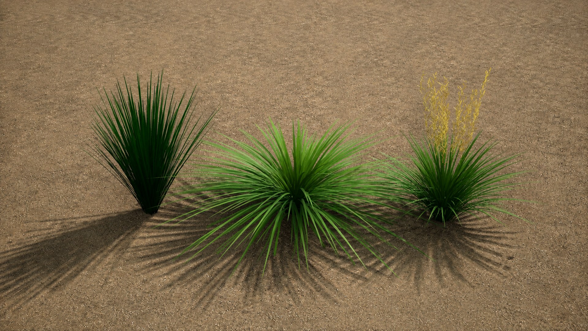 Procedural Grasses and Bushes